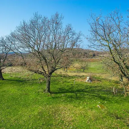 Stancija Lindi Porec Gæstehus 3*